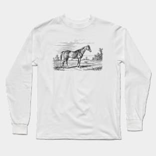 Horse in a landscape Long Sleeve T-Shirt